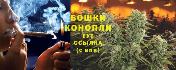 дурь Медвежьегорск