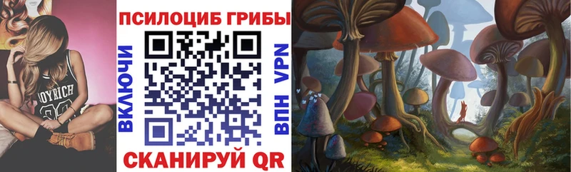 Псилоцибиновые грибы прущие грибы  Дзержинский 